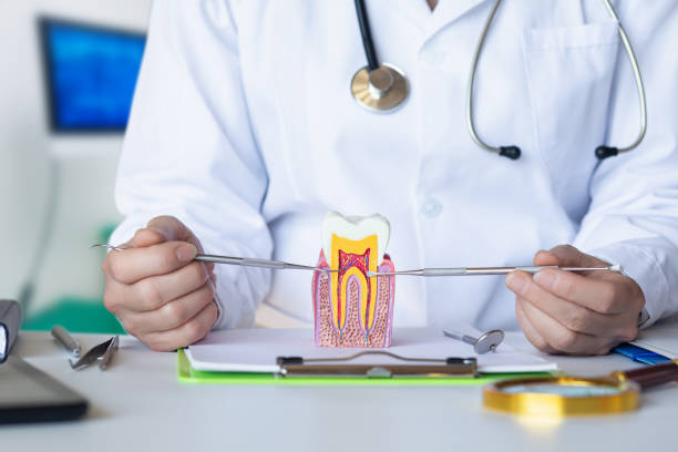 Best Urgent Dental Care for Toothaches in Malvern, AR